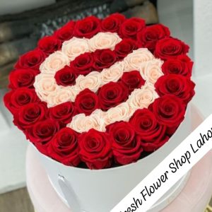 S LOVER